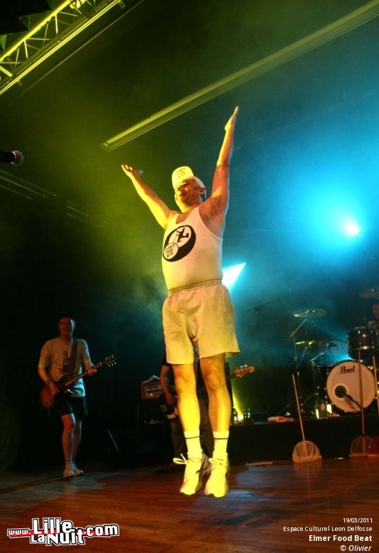 Elmer Food Beat + Les rebois un coup t’auras moins soif à Billy Montigny – Les Enchanteurs en live - photo n°16