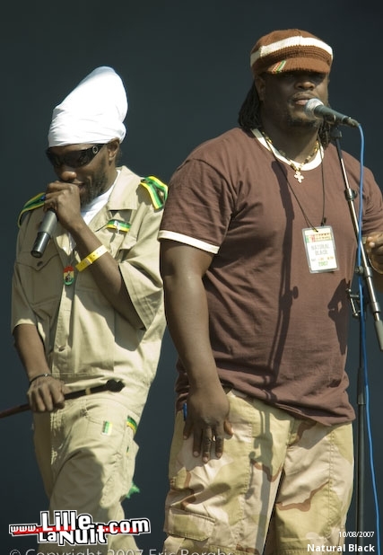 Reggae Sun Dance à Eindhoven en live - photo n°45