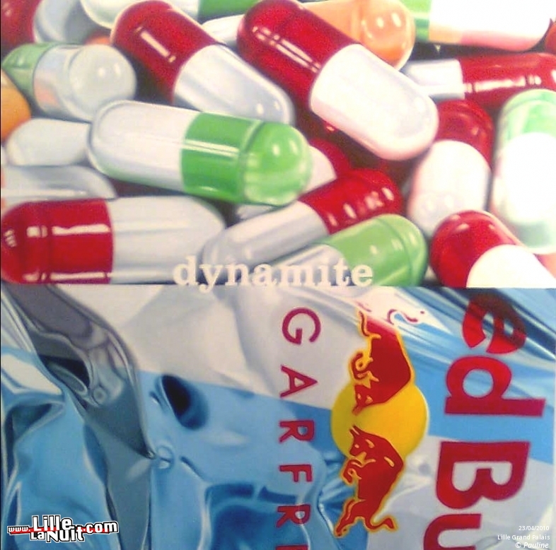 Lille Art Fair 2010 en live - photo n°5