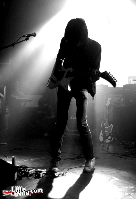 CSS, Curry and Coco et Poney Poney au Bataclan en live - photo n°2