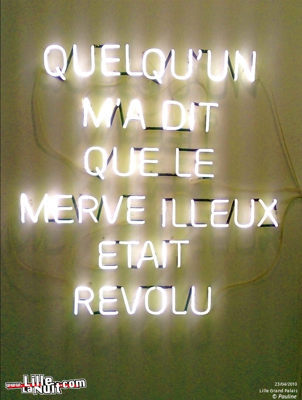 Lille Art Fair 2010 en live - photo n°9