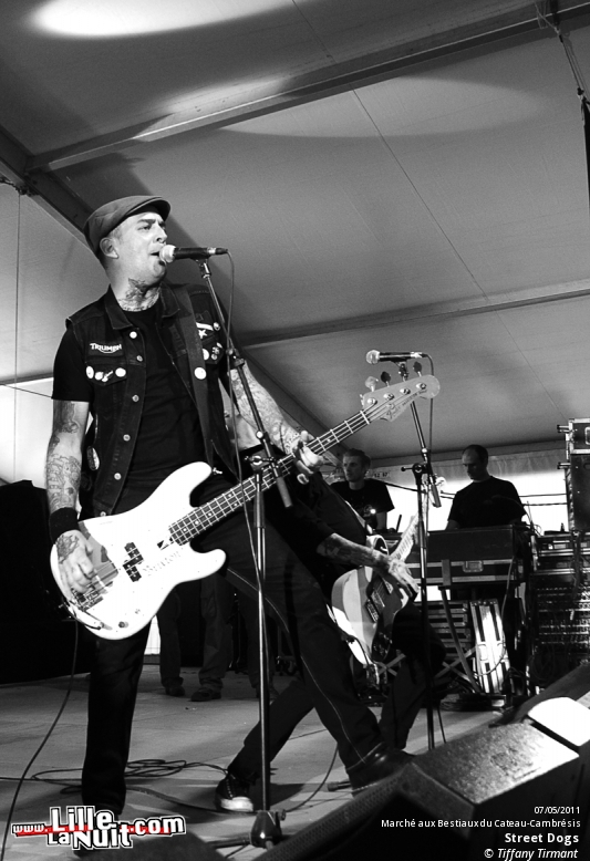 Kill For Peace + TARAKANY ! + The Mahones… – Festival Zikenstock en live - photo n°14