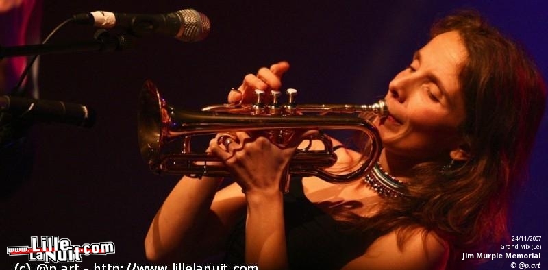 Allo Caroline et Les Ogres de Barback [festival Les Enchanteurs] à Grenay en live - photo n°2