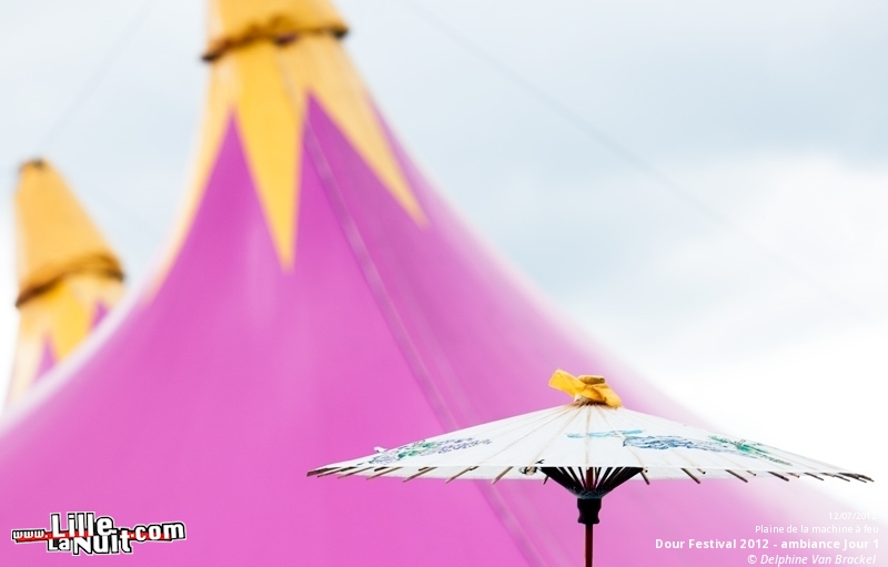 Dour Festival 2012 – Ambiance en live - photo n°43