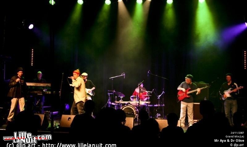 Têtes Raides + Melissmel à l’Aéronef en live - photo n°6