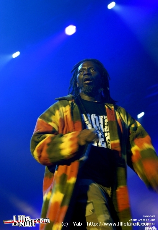 Tiken Jah Fakoli, Gentleman et Groundation [Paradis Artificiels] au Zénith en live - photo n°15