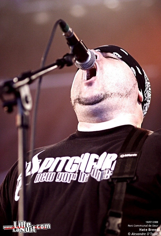 Dour Festival 2008 [Jour 2] en live - photo n°18