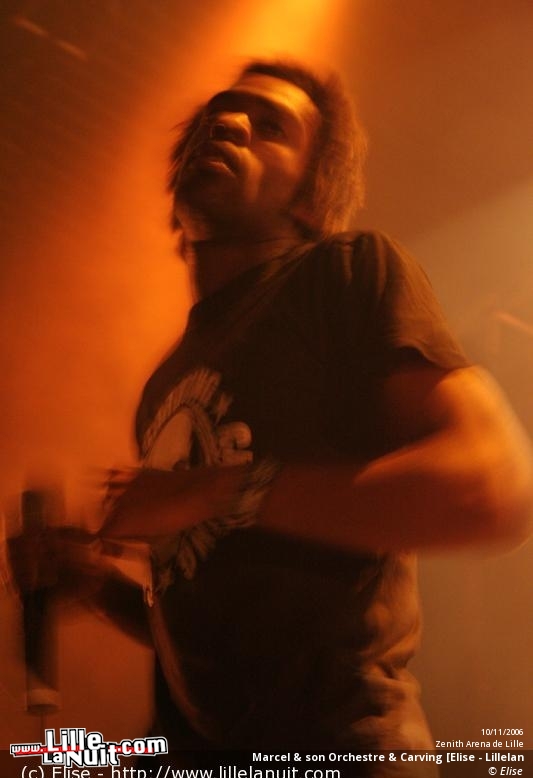 Marcel & son Orchestre + guests au Zénith en live - photo n°49
