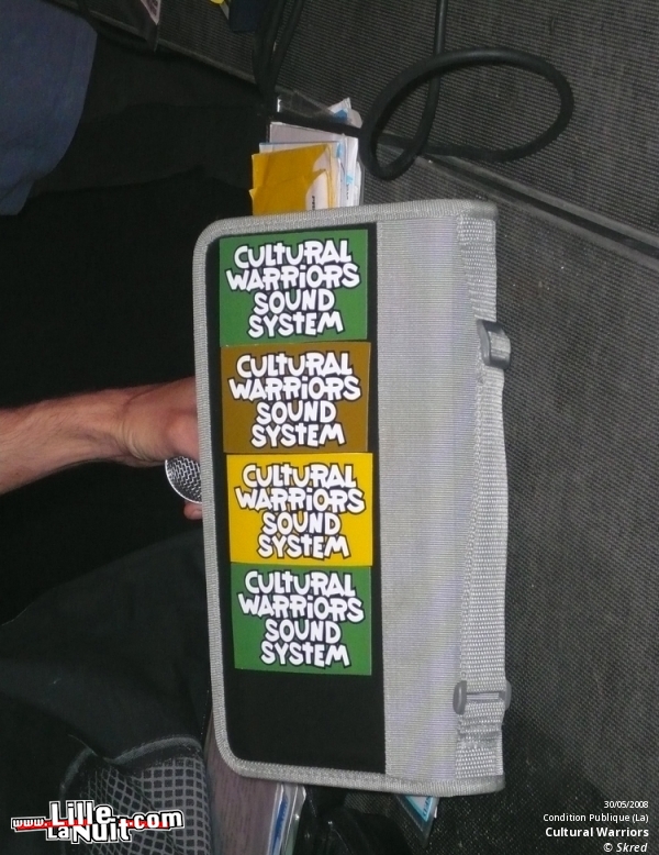 United Sound of Dub avec Cultural Warriors à la Condition Publique en live - photo n°1