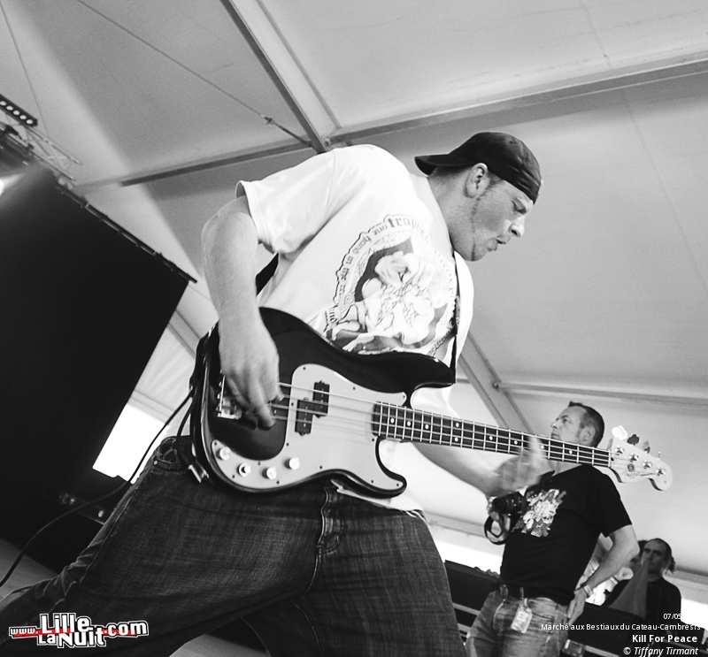 Kill For Peace + TARAKANY ! + The Mahones… – Festival Zikenstock en live - photo n°39