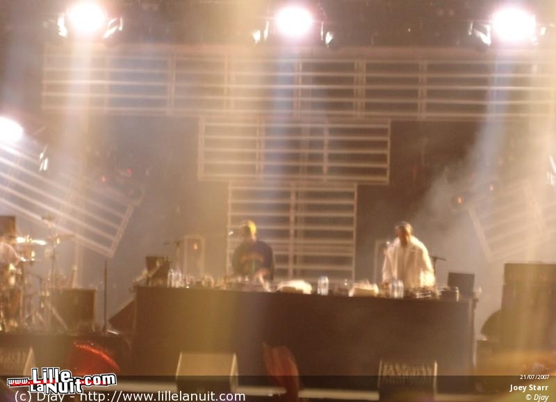 Les Vieilles Charues 2007 en live - photo n°20