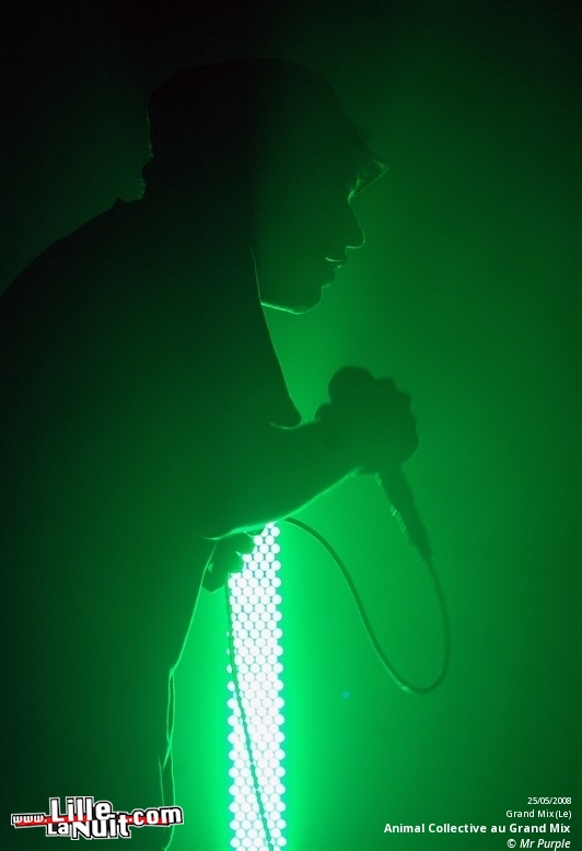 Animal Collective et Atlas Sound au Grand Mix en live - photo n°14