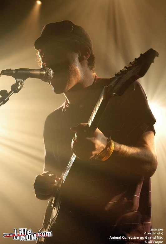 Animal Collective et Atlas Sound au Grand Mix en live - photo n°2