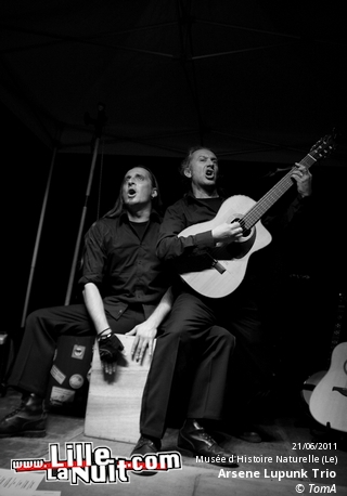 Fête de la musique 2011 au Musée d’histoire naturelle de Lille – Delbi, Aristide & Jean Zegares, Arsene Lupunk Trio en live - photo n°24