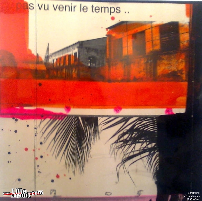 Lille Art Fair 2010 en live - photo n°4