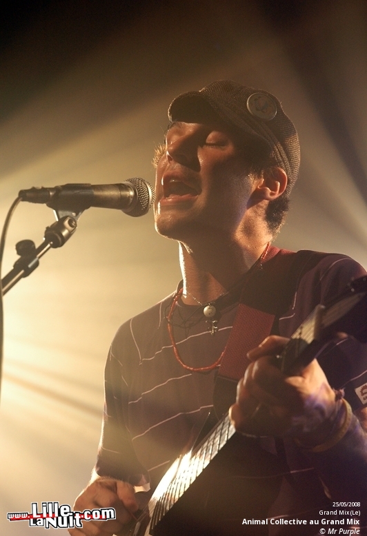 Animal Collective et Atlas Sound au Grand Mix en live - photo n°15