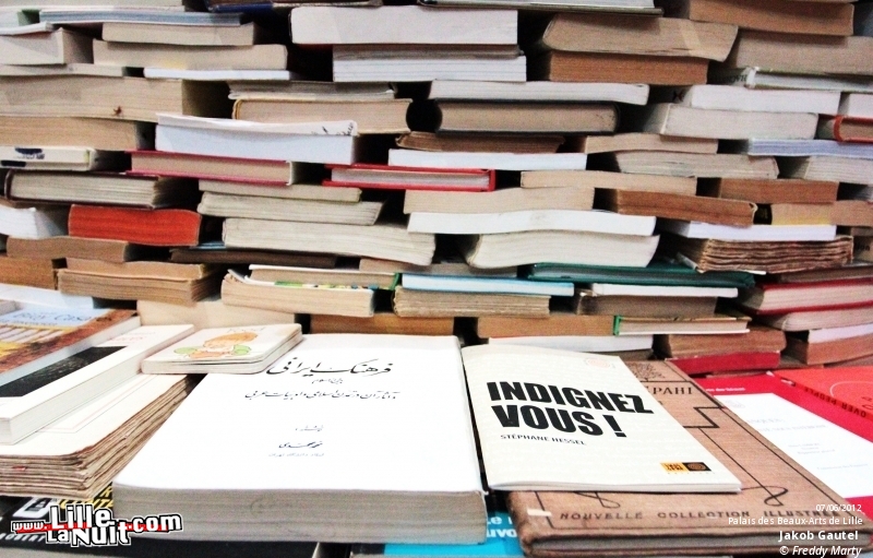 Exposition Babel au Palais des Beaux-Arts en live - photo n°3