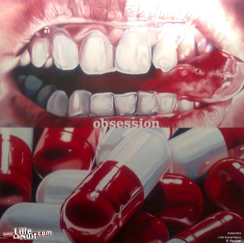 Lille Art Fair 2010 en live - photo n°6