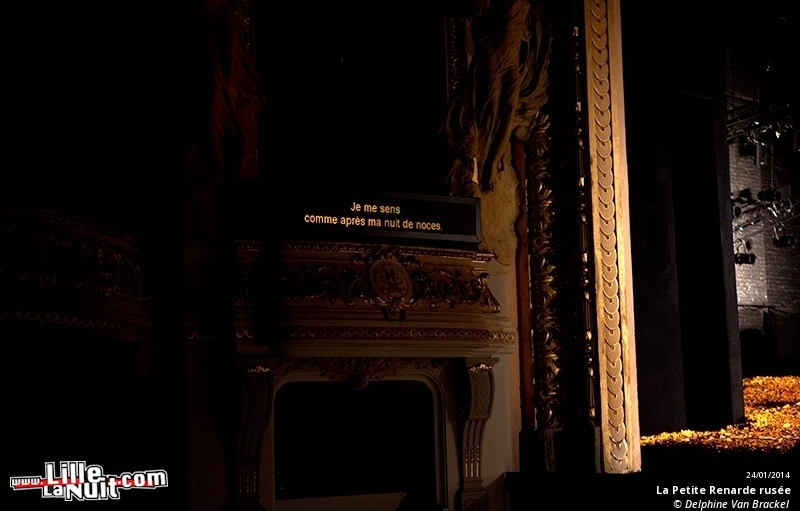 La Petite Renarde rusée à l’Opéra de Lille en live - photo n°34