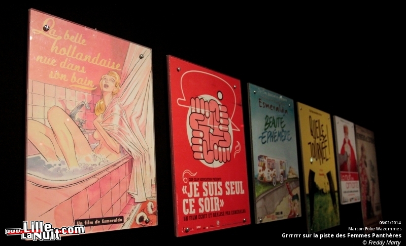 Grrrrrr sur la piste des Femmes Panthères à la Maison Folie Wazemmes en live - photo n°12