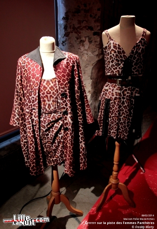 Grrrrrr sur la piste des Femmes Panthères à la Maison Folie Wazemmes en live - photo n°6