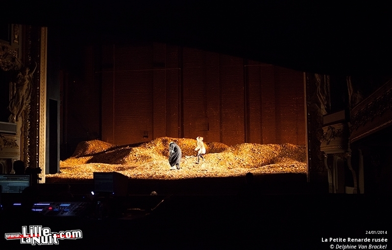 La Petite Renarde rusée à l’Opéra de Lille en live - photo n°16