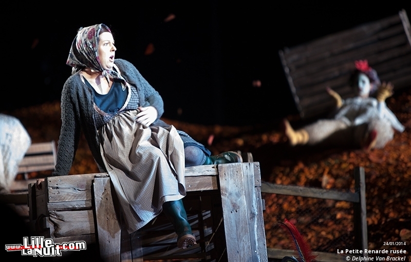 La Petite Renarde rusée à l’Opéra de Lille en live - photo n°17