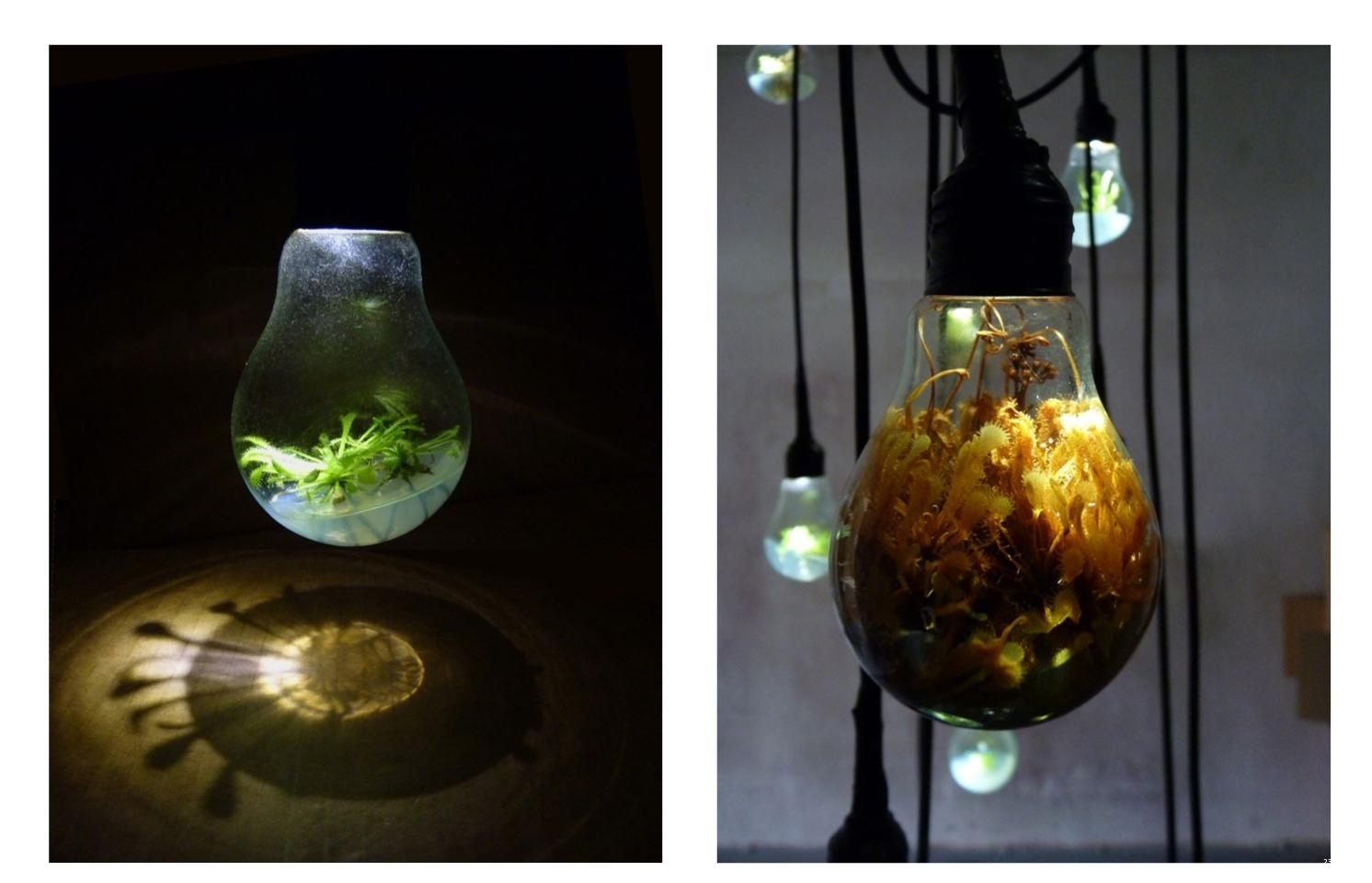 Exposition YEA à l’espace Le Carré en live - photo n°4