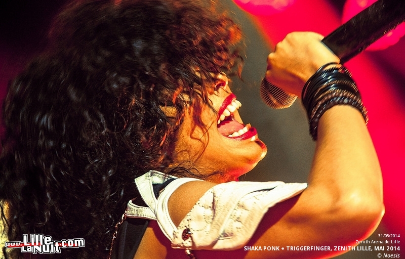 Shaka Ponk + Triggerfinger au Zénith de Lille en live - photo n°37