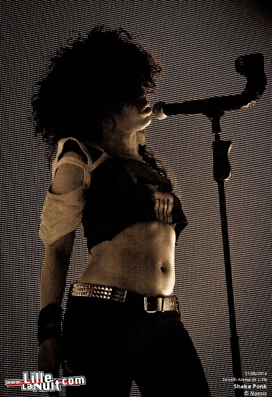 Shaka Ponk + Triggerfinger au Zénith de Lille en live - photo n°24