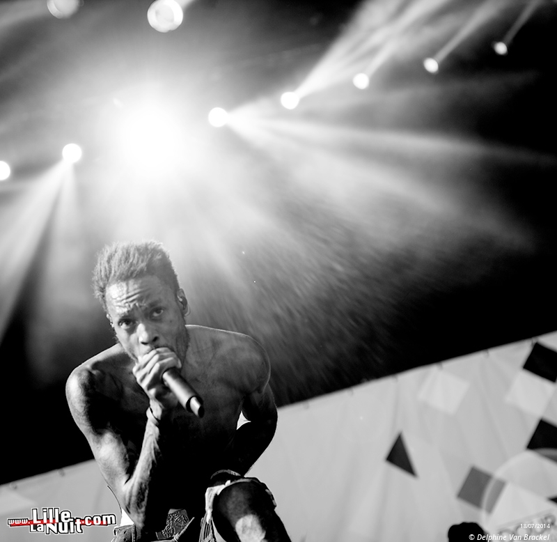 Dour Festival 2014 – Jour 2 – Within Temptation, Klaxons, Skip The Use, etc. en live - photo n°38