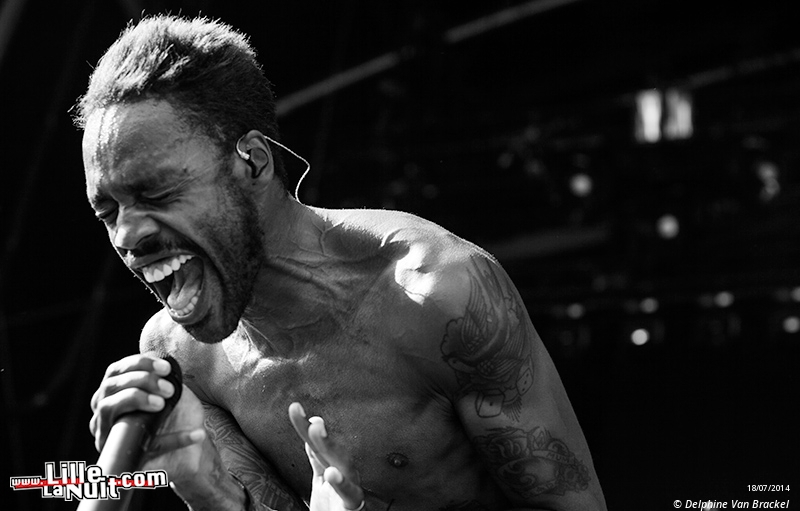 Dour Festival 2014 – Jour 2 – Within Temptation, Klaxons, Skip The Use, etc. en live - photo n°7