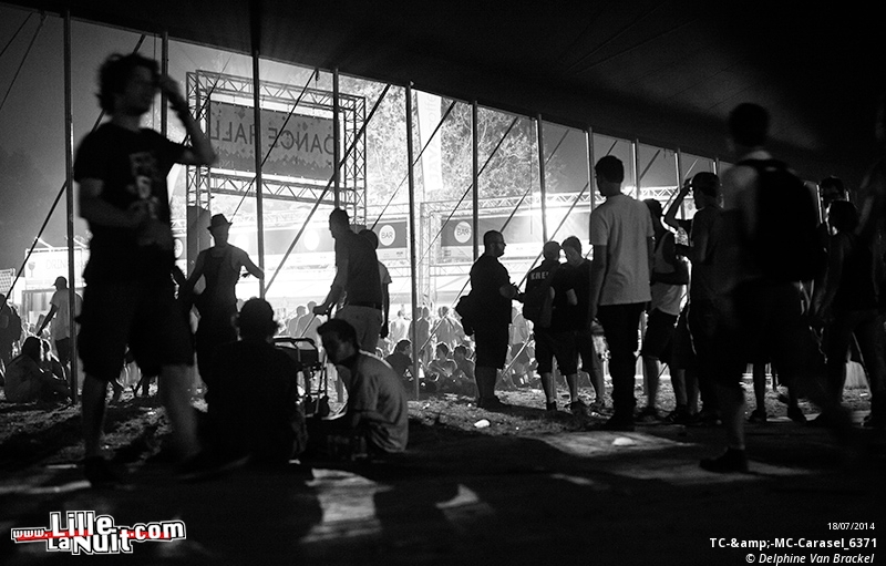 Dour Festival 2014 – Jour 2 – Within Temptation, Klaxons, Skip The Use, etc. en live - photo n°184