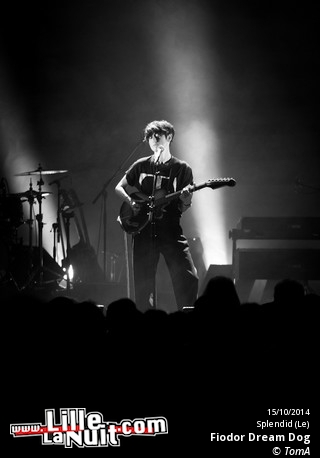 Miossec + Fiodor Dream Dog au Splendid en live - photo n°7