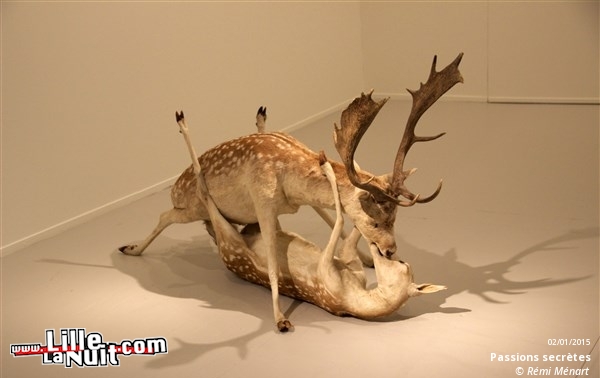 Passions secrètes au Tripostal en live - photo n°4