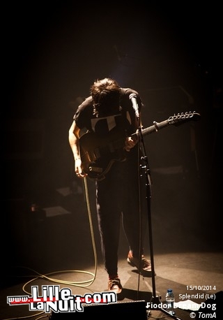 Miossec + Fiodor Dream Dog au Splendid en live - photo n°4