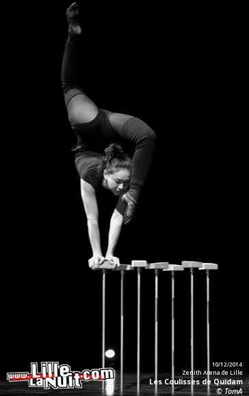 Le Cirque du Soleil au Zénith de Lille en live - photo n°13