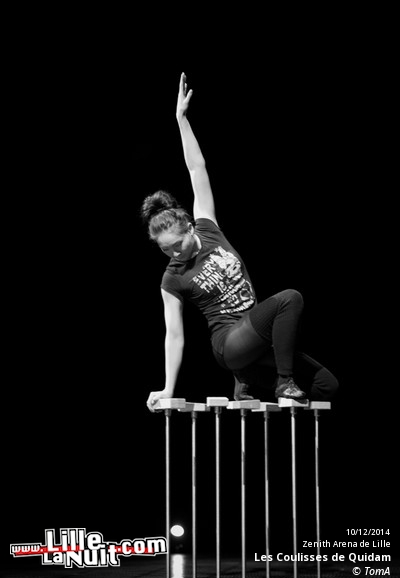 Le Cirque du Soleil au Zénith de Lille en live - photo n°11