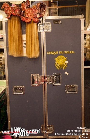 Le Cirque du Soleil au Zénith de Lille en live - photo n°21