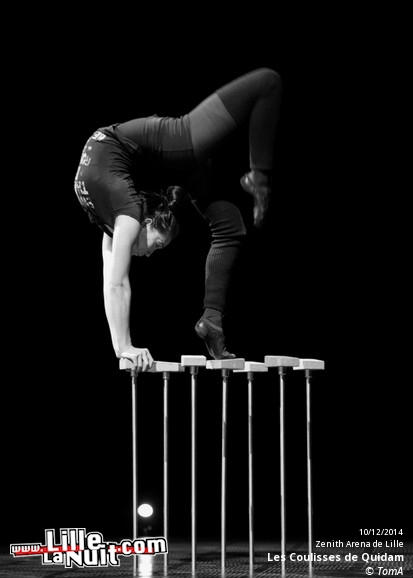 Le Cirque du Soleil au Zénith de Lille en live - photo n°12