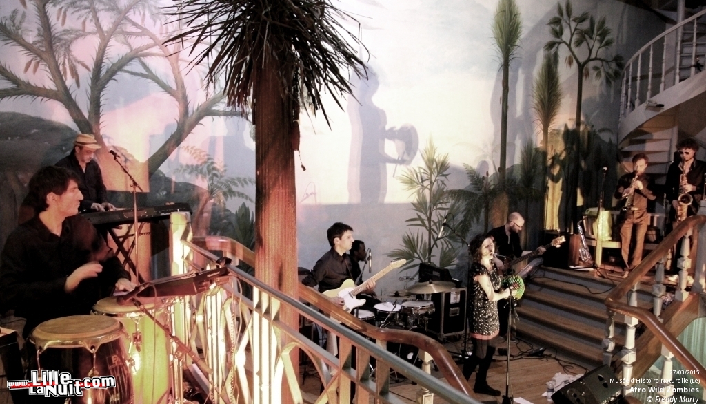 Afro Wild Zombies + Blondin au Musée d’Histoire Naturelle en live - photo n°9