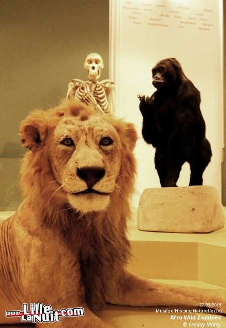 Afro Wild Zombies + Blondin au Musée d’Histoire Naturelle en live - photo n°1