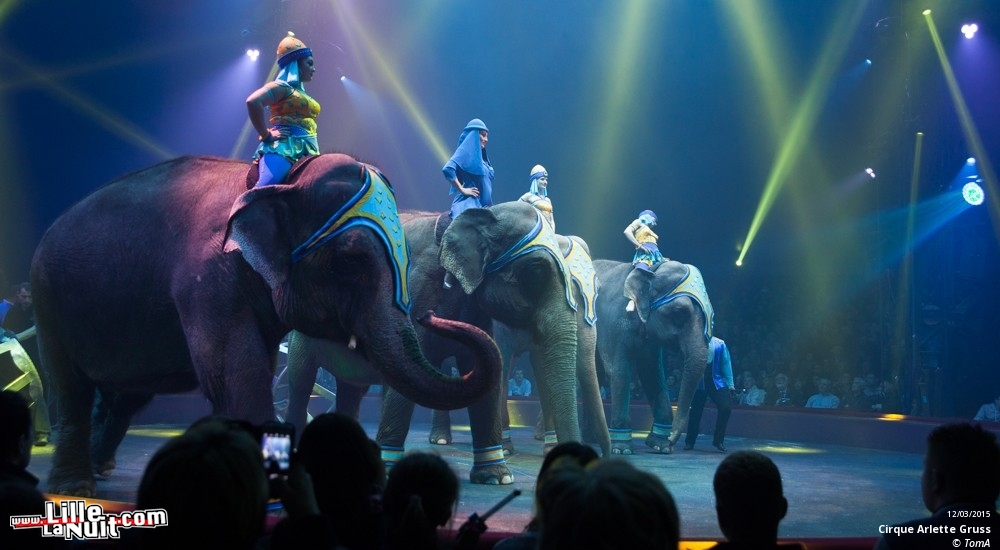 Cirque Arlette Gruss à Lille en live - photo n°75