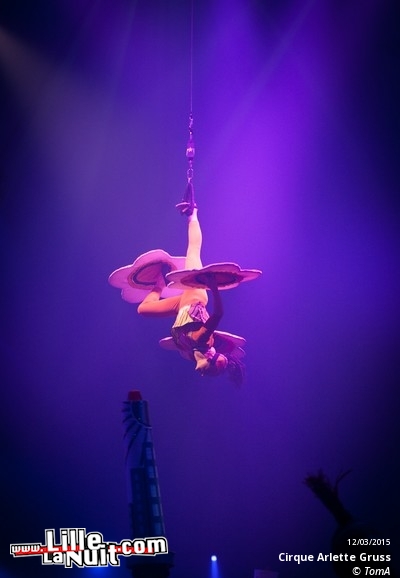 Cirque Arlette Gruss à Lille en live - photo n°11