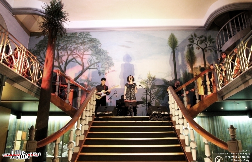 Afro Wild Zombies + Blondin au Musée d’Histoire Naturelle en live - photo n°7