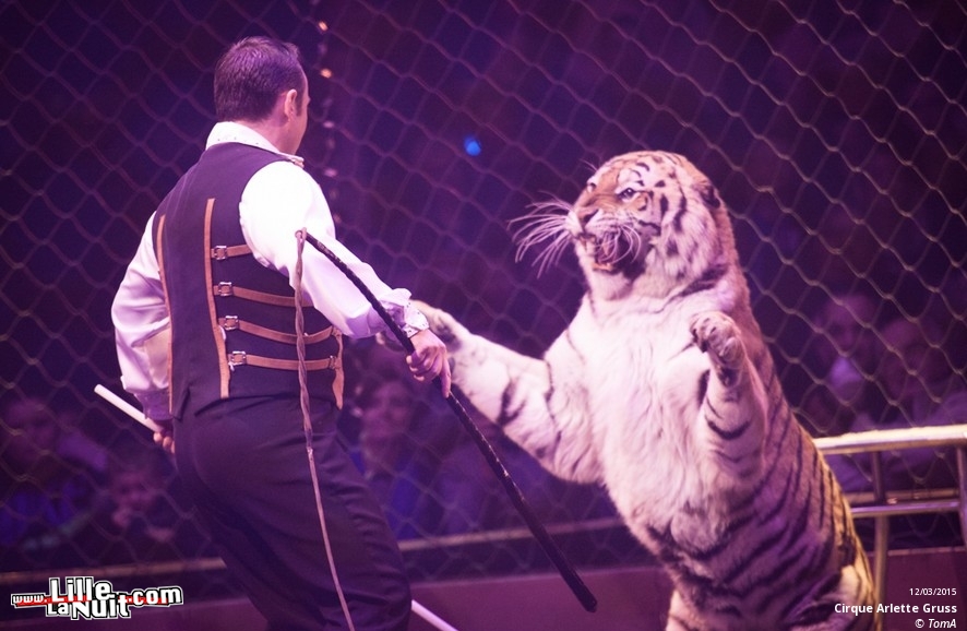 Cirque Arlette Gruss à Lille en live - photo n°63