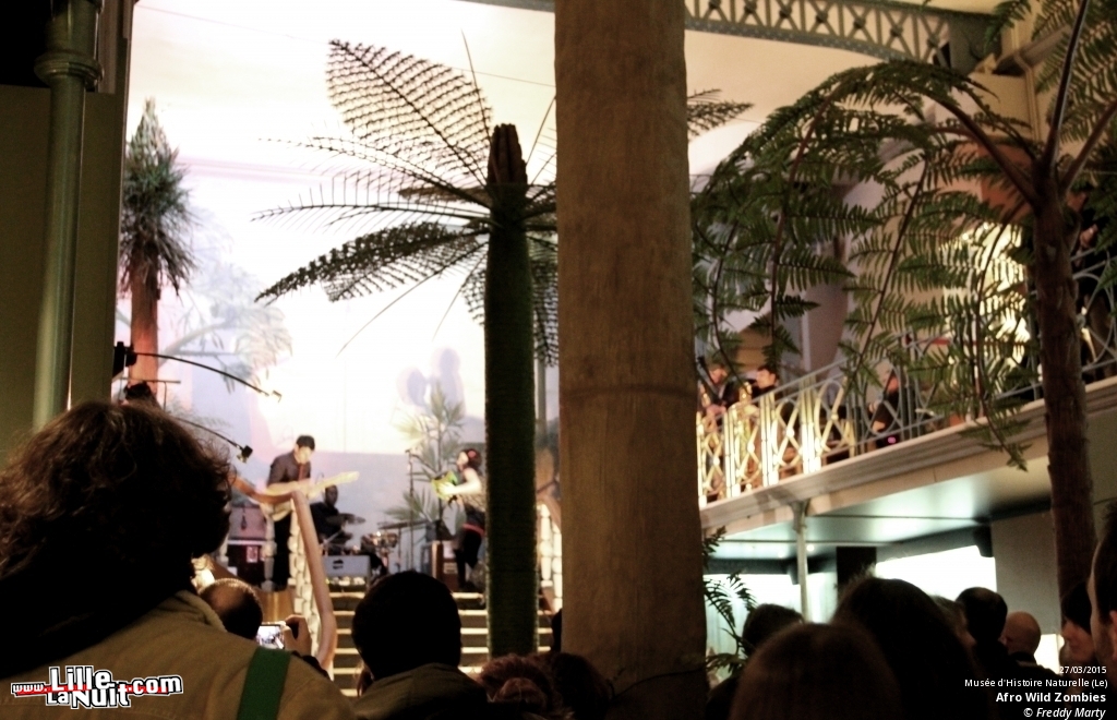 Afro Wild Zombies + Blondin au Musée d’Histoire Naturelle en live - photo n°8