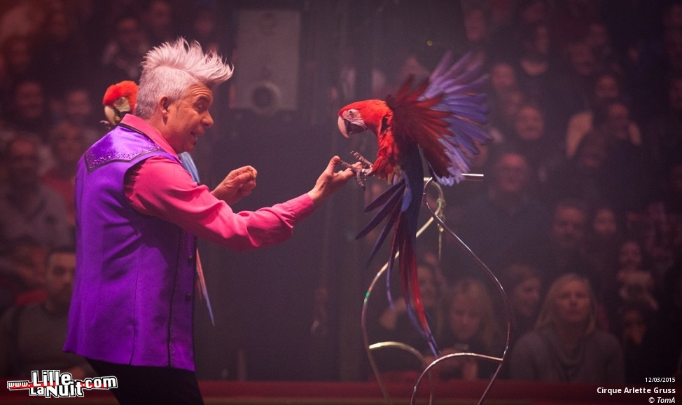 Cirque Arlette Gruss à Lille en live - photo n°17