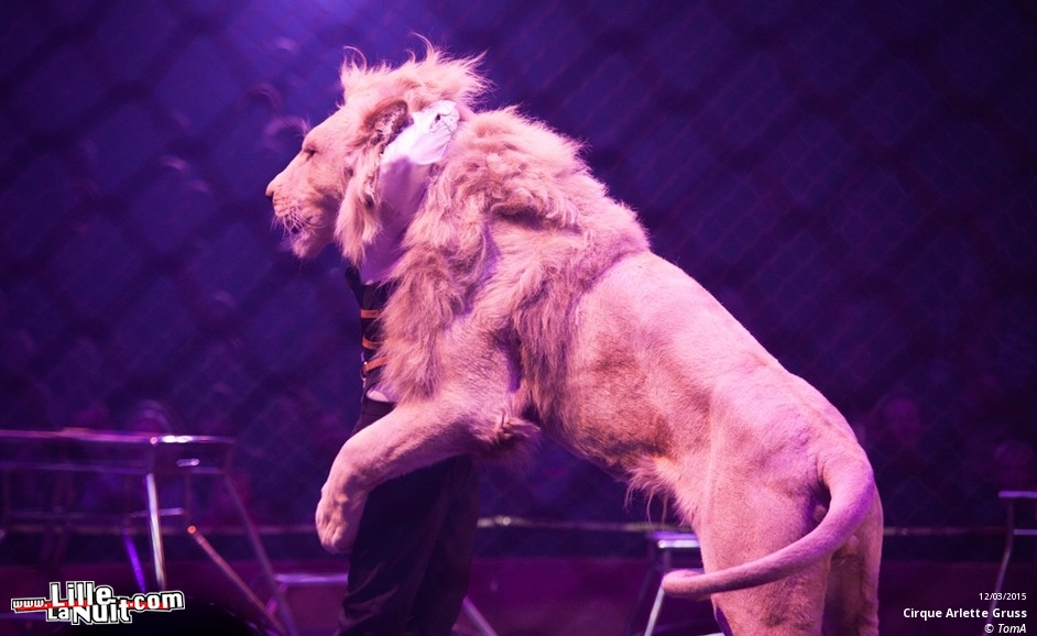 Cirque Arlette Gruss à Lille en live - photo n°65