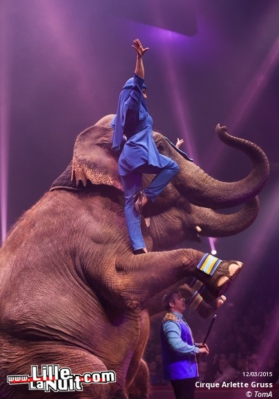 Cirque Arlette Gruss à Lille en live - photo n°80